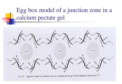 egg box junction|egg box structure in calcium.